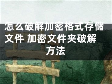 怎么破解加密格式存儲(chǔ)文件 加密文件夾破解方法