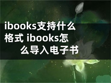 ibooks支持什么格式 ibooks怎么導(dǎo)入電子書(shū) 