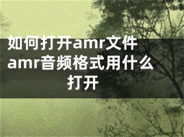 如何打開amr文件 amr音頻格式用什么打開 