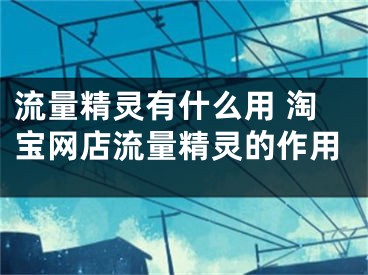 流量精靈有什么用 淘寶網店流量精靈的作用