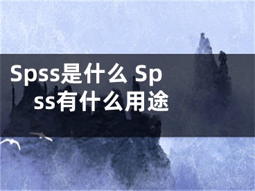 Spss是什么 Spss有什么用途 