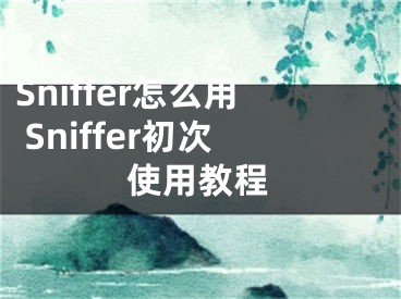 Sniffer怎么用 Sniffer初次使用教程