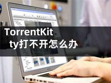 TorrentKitty打不開(kāi)怎么辦 