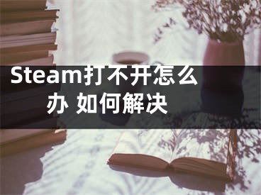 Steam打不開怎么辦 如何解決 