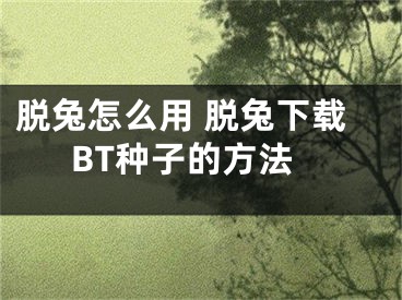 脫兔怎么用 脫兔下載BT種子的方法