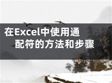 在Excel中使用通配符的方法和步驟