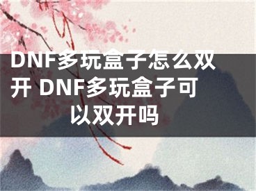 DNF多玩盒子怎么雙開 DNF多玩盒子可以雙開嗎 