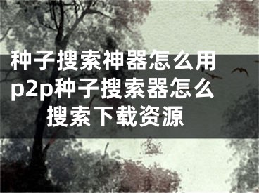 種子搜索神器怎么用 p2p種子搜索器怎么搜索下載資源 