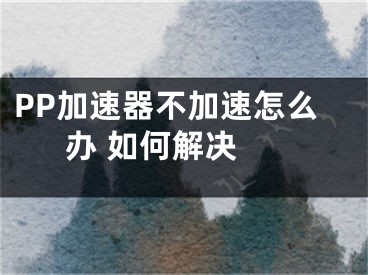 PP加速器不加速怎么辦 如何解決 