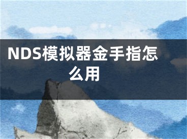 NDS模擬器金手指怎么用 