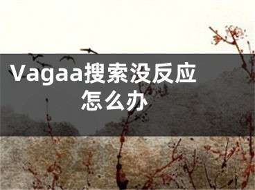 Vagaa搜索沒反應怎么辦 