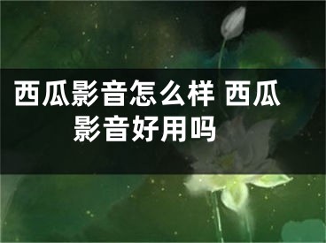 西瓜影音怎么樣 西瓜影音好用嗎 