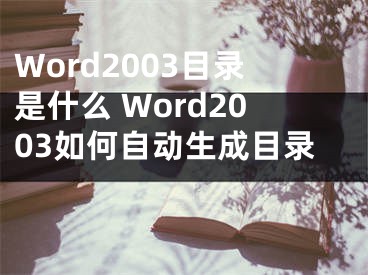 Word2003目錄是什么 Word2003如何自動生成目錄 