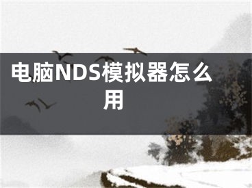 電腦NDS模擬器怎么用 