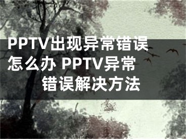 PPTV出現(xiàn)異常錯(cuò)誤怎么辦 PPTV異常錯(cuò)誤解決方法