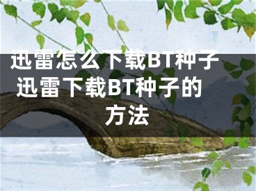 迅雷怎么下載BT種子 迅雷下載BT種子的方法