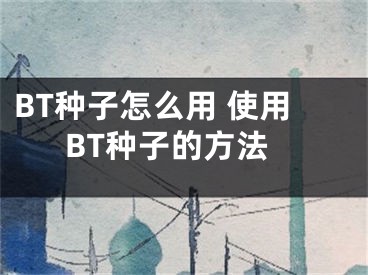 BT種子怎么用 使用BT種子的方法