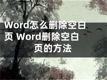 Word怎么刪除空白頁(yè) Word刪除空白頁(yè)的方法