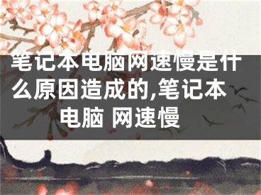 筆記本電腦網(wǎng)速慢是什么原因造成的,筆記本電腦 網(wǎng)速慢