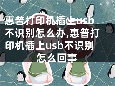 惠普打印機插上usb不識別怎么辦,惠普打印機插上usb不識別怎么回事