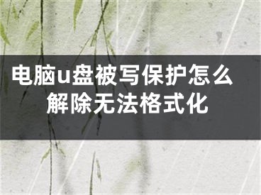 電腦u盤被寫保護怎么解除無法格式化