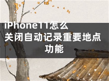 iPhone11怎么關(guān)閉自動(dòng)記錄重要地點(diǎn)功能