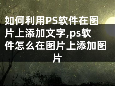 如何利用PS軟件在圖片上添加文字,ps軟件怎么在圖片上添加圖片