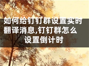 如何給釘釘群設(shè)置實(shí)時(shí)翻譯消息,釘釘群怎么設(shè)置倒計(jì)時(shí)