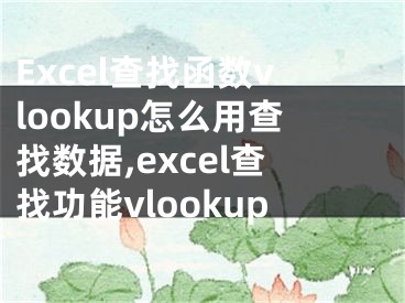 Excel查找函數(shù)vlookup怎么用查找數(shù)據(jù),excel查找功能vlookup