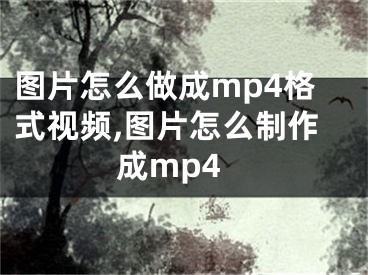 圖片怎么做成mp4格式視頻,圖片怎么制作成mp4