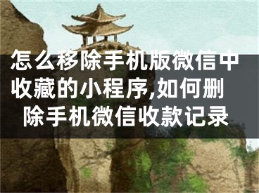 怎么移除手機版微信中收藏的小程序,如何刪除手機微信收款記錄