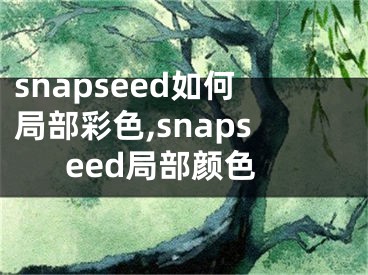 snapseed如何局部彩色,snapseed局部顏色