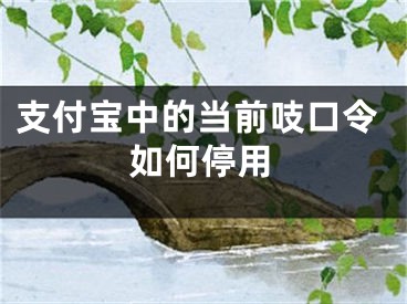 支付寶中的當(dāng)前吱口令如何停用