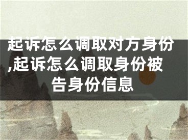 起訴怎么調(diào)取對(duì)方身份,起訴怎么調(diào)取身份被告身份信息