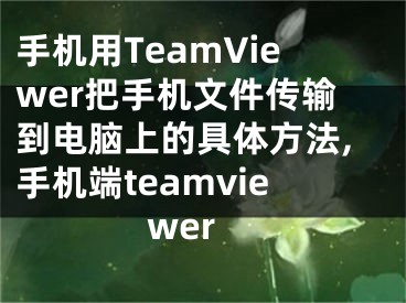 手機用TeamViewer把手機文件傳輸?shù)诫娔X上的具體方法,手機端teamviewer