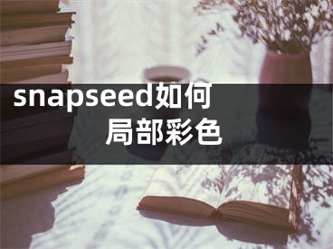 snapseed如何局部彩色