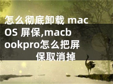 怎么徹底卸載 macOS 屏保,macbookpro怎么把屏保取消掉