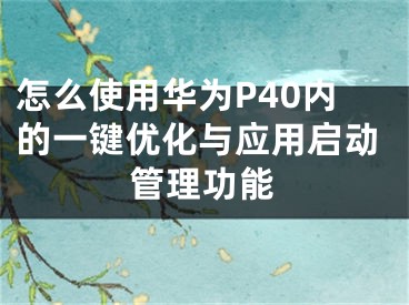 怎么使用華為P40內(nèi)的一鍵優(yōu)化與應(yīng)用啟動管理功能