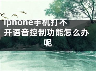 iphone手機(jī)打不開語音控制功能怎么辦呢