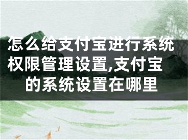 怎么給支付寶進(jìn)行系統(tǒng)權(quán)限管理設(shè)置,支付寶的系統(tǒng)設(shè)置在哪里