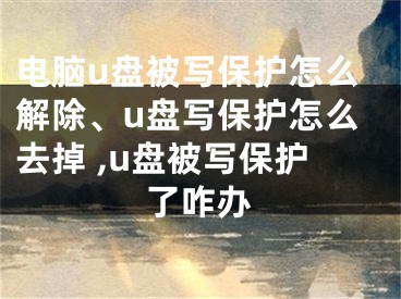 電腦u盤被寫保護(hù)怎么解除、u盤寫保護(hù)怎么去掉 ,u盤被寫保護(hù)了咋辦