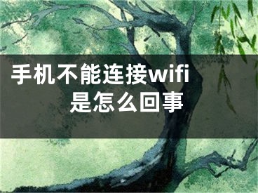 手機不能連接wifi是怎么回事