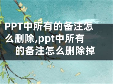 PPT中所有的備注怎么刪除,ppt中所有的備注怎么刪除掉