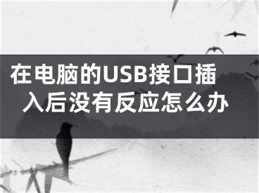 在電腦的USB接口插入后沒有反應(yīng)怎么辦