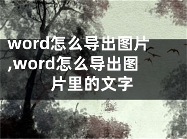 word怎么導(dǎo)出圖片,word怎么導(dǎo)出圖片里的文字