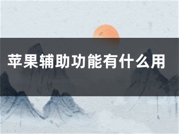 蘋果輔助功能有什么用