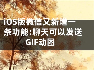 iOS版微信又新增一條功能:聊天可以發(fā)送GIF動圖