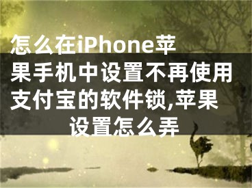 怎么在iPhone蘋果手機(jī)中設(shè)置不再使用支付寶的軟件鎖,蘋果設(shè)置怎么弄