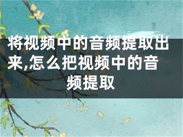 將視頻中的音頻提取出來,怎么把視頻中的音頻提取