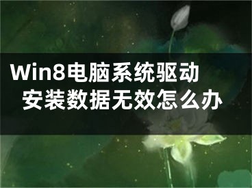 Win8電腦系統(tǒng)驅(qū)動(dòng)安裝數(shù)據(jù)無(wú)效怎么辦